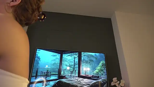 FlairEdgin webcam