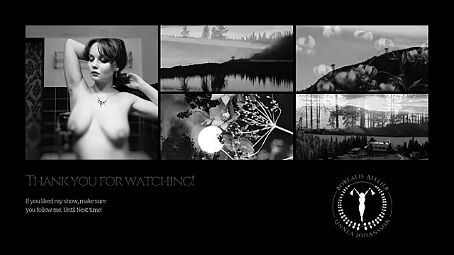 Borealisatelier live cam