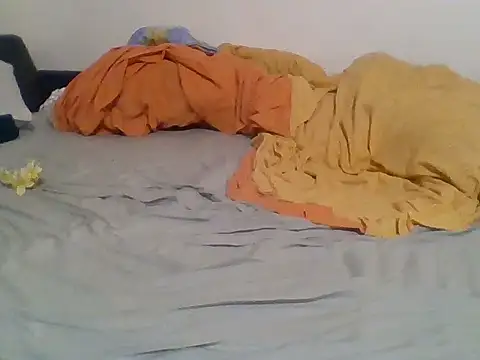Reinemanon webcam