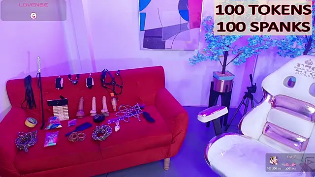Raven_velmont webcam