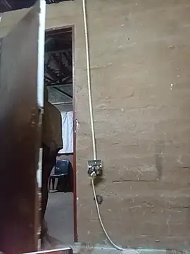 Rough_Mjay webcam