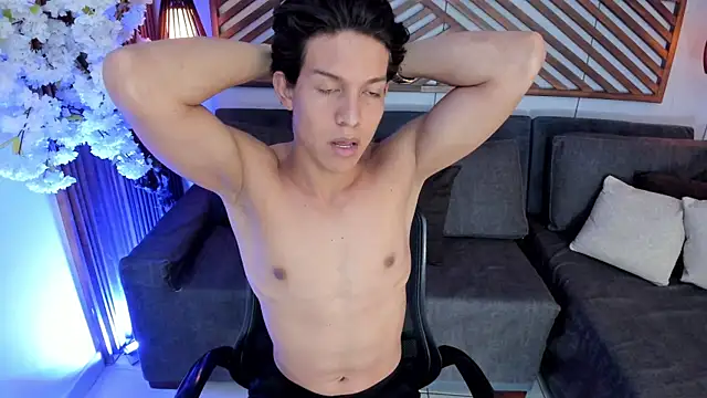 LevinFox webcam