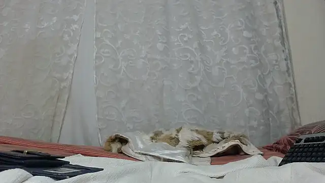 Bunnyxx01 webcam