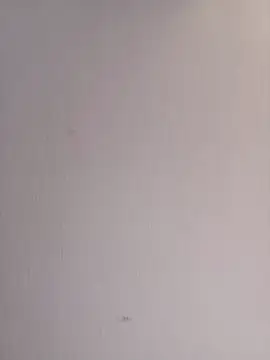 celeste_mill webcam
