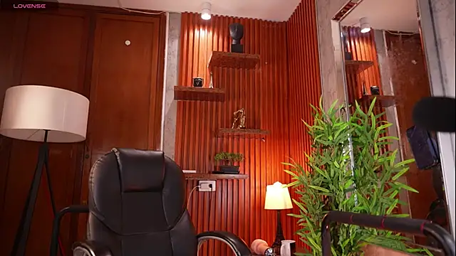 David_capizzi_ webcam