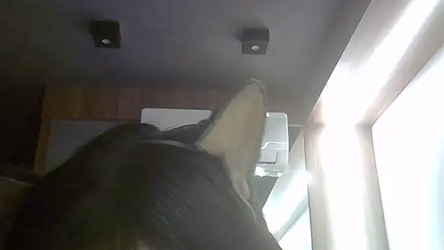 SkinnyKitten webcam