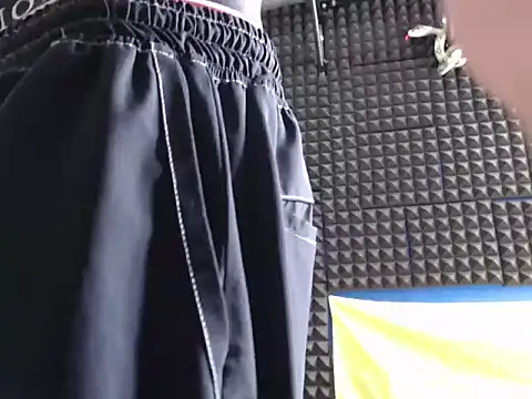 Gymbro42 webcam