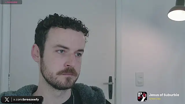 Breezee_ webcam