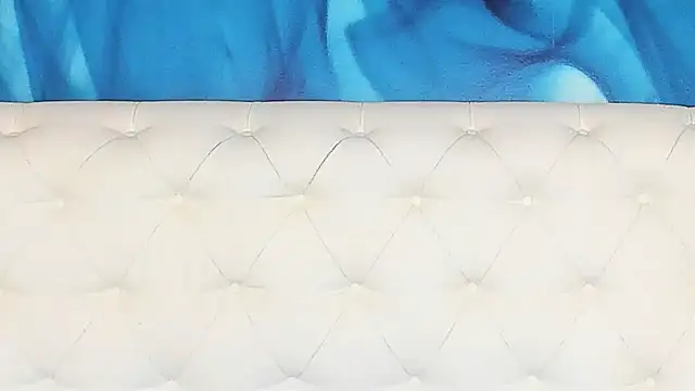 SkinnyDolly webcam