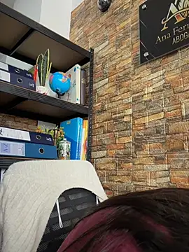 _Sarah-Office1 webcam