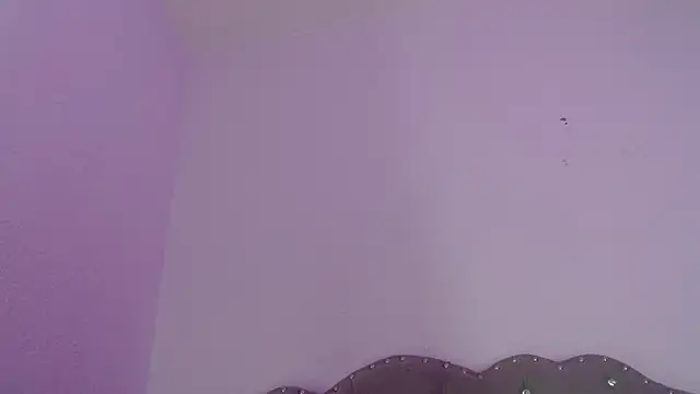 sofiaspring webcam