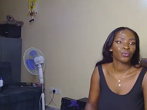 Fuliza3 webcam