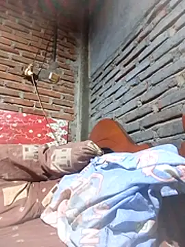 maxwel20 webcam