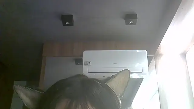 SkinnyKitten webcam