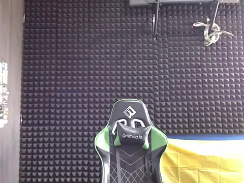 Gymbro42 webcam