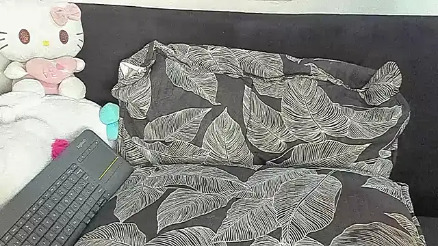 Eirlysx webcam