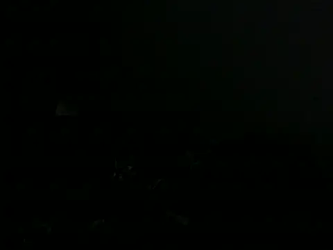 Taraj_thee_thick webcam