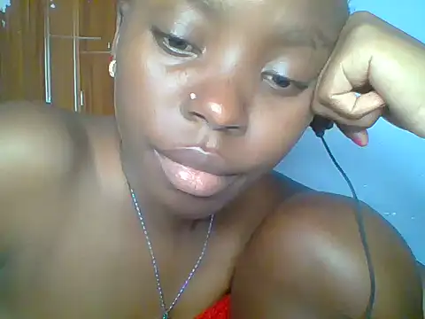 Chocolate-brownie webcam