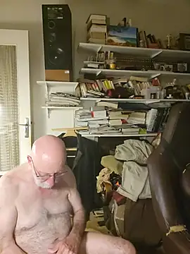 briochin webcam