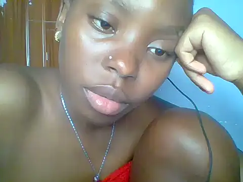 Chocolate-brownie webcam