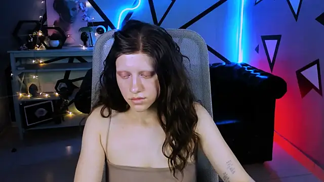 LidaDarknet webcam