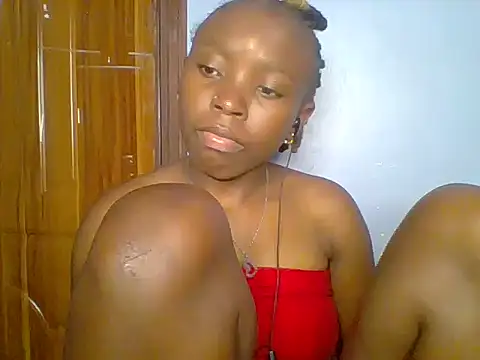 Chocolate-brownie webcam