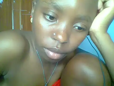 Chocolate-brownie webcam