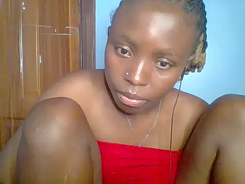 Chocolate-brownie webcam