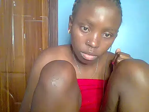 Chocolate-brownie webcam