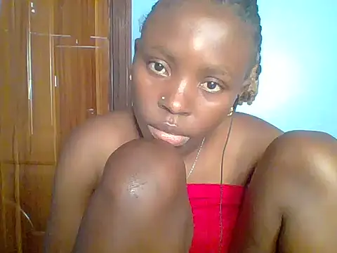 Chocolate-brownie webcam