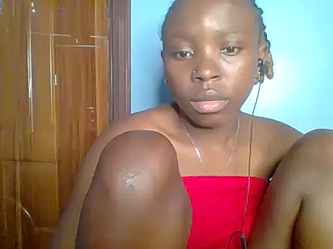 Chocolate-brownie webcam