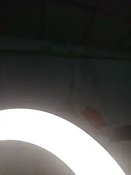 SlBrownCopule webcam