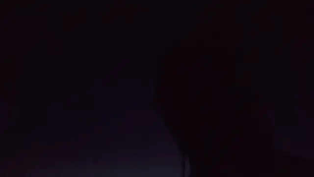 Vuitton webcam