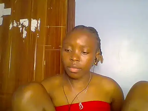 Chocolate-brownie webcam