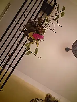 couple_mistery webcam