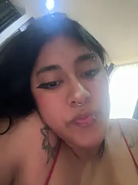 pawmistry webcam