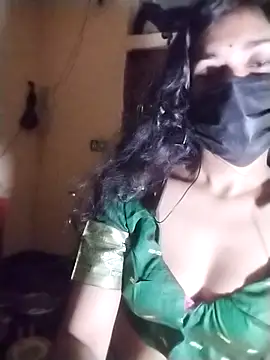Bristyvabi webcam