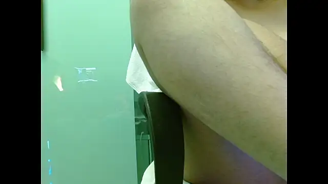 Model29 webcam
