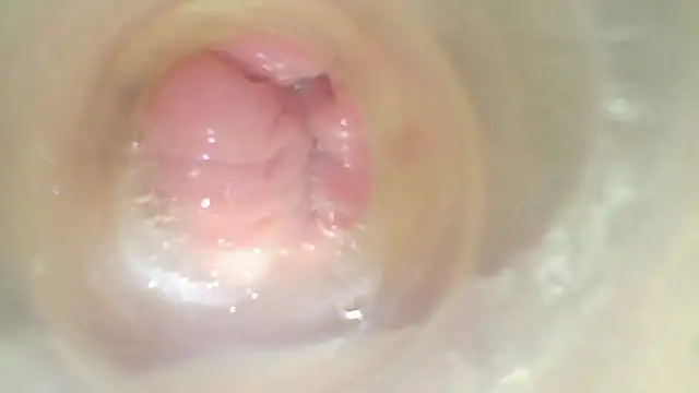 karol_stom webcam