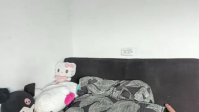 Eirlysx webcam