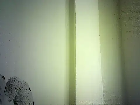 DelteAfriq webcam