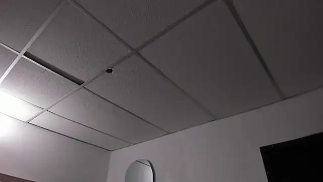 honeyhtx webcam