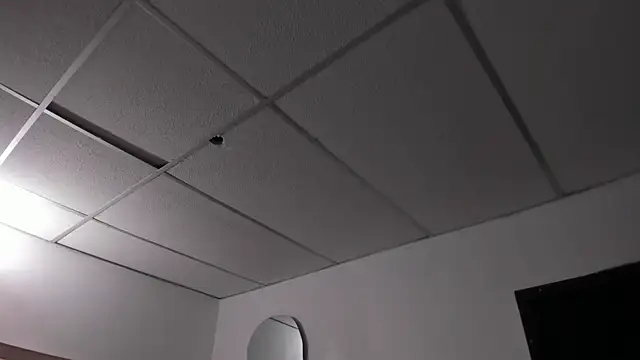honeyhtx webcam