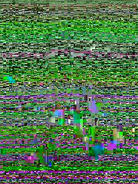 speddy34 webcam