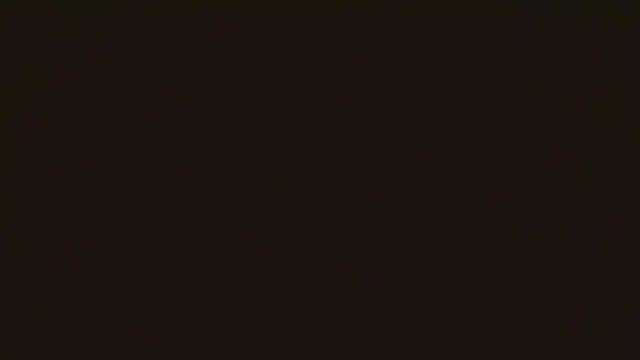 Maxpac_roccox webcam