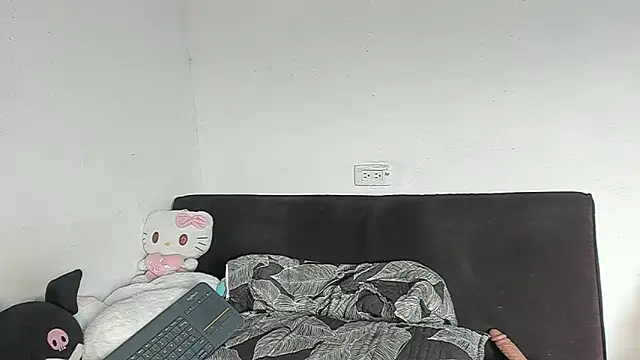 Eirlysx webcam