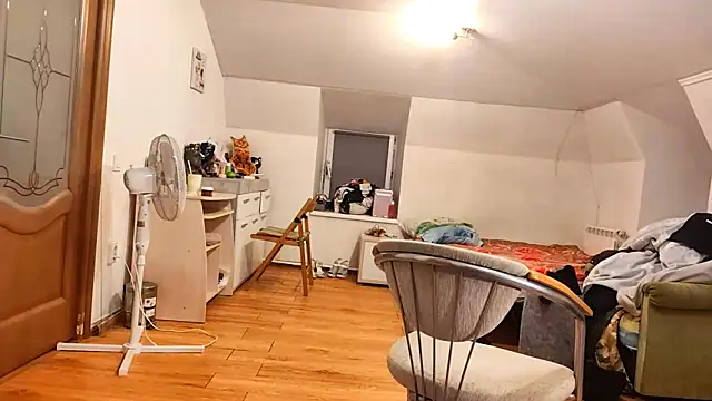 HazyLoom webcam