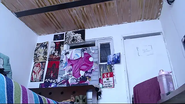 Cortana2_0 webcam