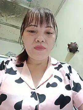 Sana-vn webcam