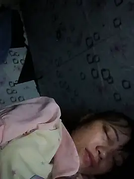 Sana-vn webcam